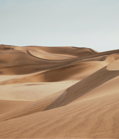 Close detail of a wind-carved dune ridge