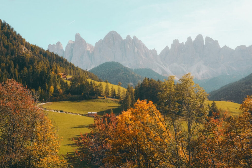 Autumn valley framed by forest and distant peaks